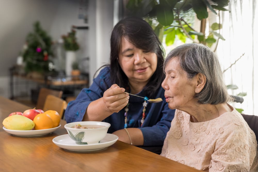 home care provider feeding soup to an elder woman